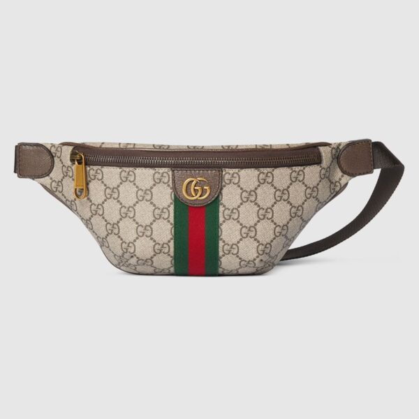 Gucci Ophidia small belt bag