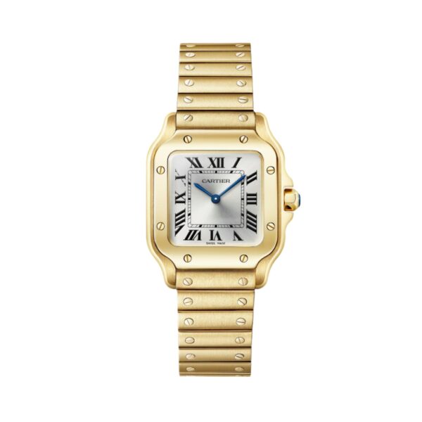 Santos De Cartier Watch