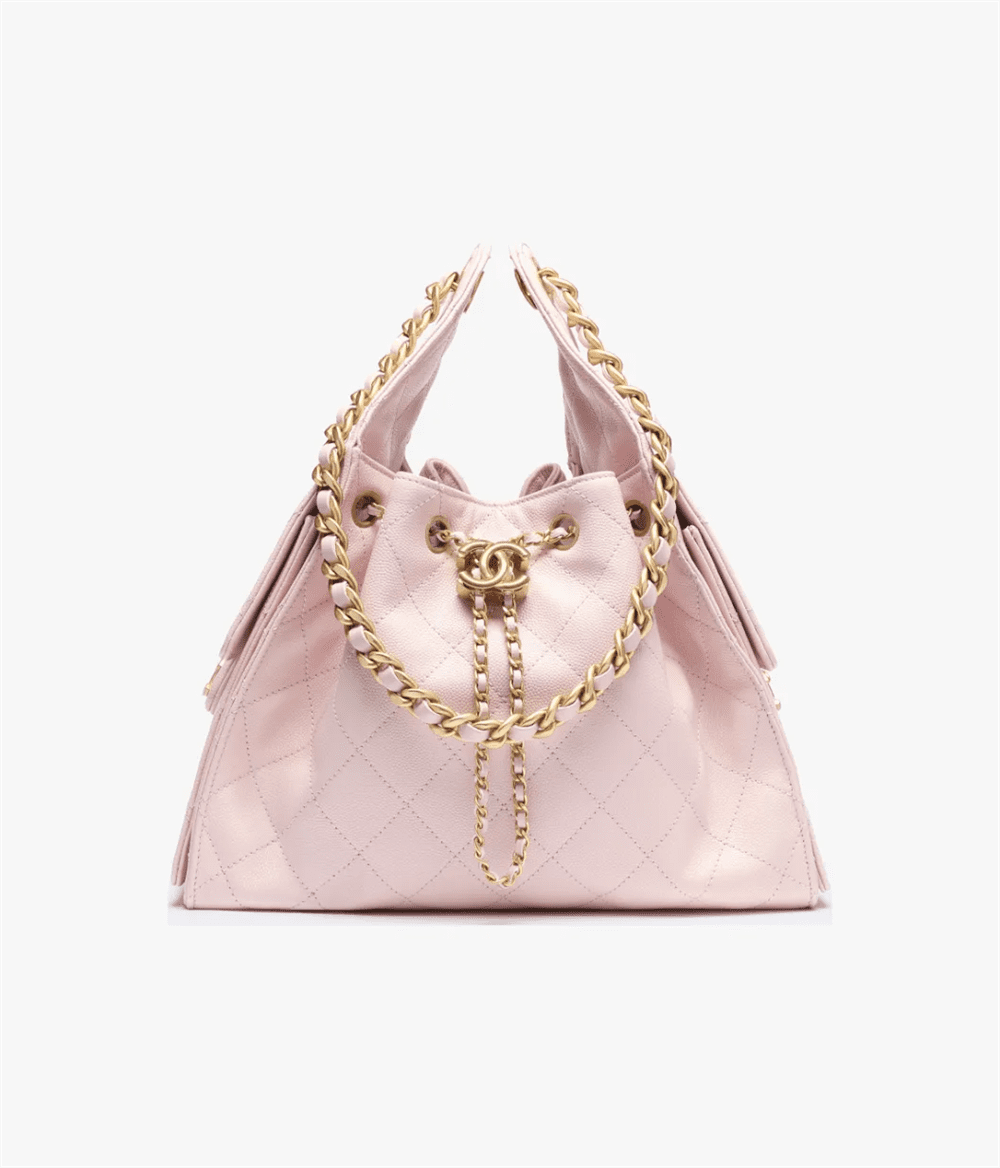 CHANEL 25 Small Handbag