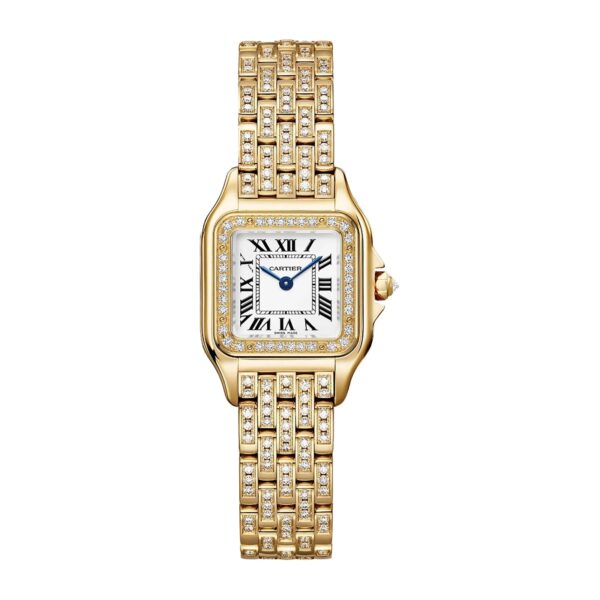 Panth??re De Cartier Watch